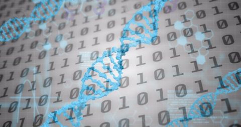 Digital DNA and Binary Code with Emerging Interface Concepts - Download Free Stock Images Pikwizard.com