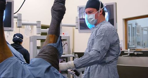 Veterinary surgeon operating on horse in high-tech theater