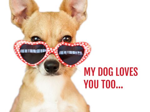 charming dog with heart sunglasses expressing playful love - Download Free Stock Templates Pikwizard.com