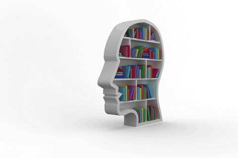 Transparent Brain-Shaped Bookshelf with Colorful Books - Download Free Stock Videos Pikwizard.com