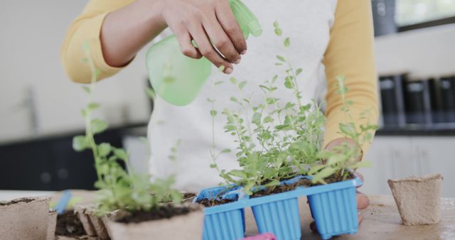 Indoor gardening and plant care with spray bottle - Download Free Stock Images Pikwizard.com