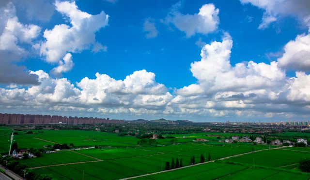 This image captures a vibrant green expanse of fields under a bright blue sky accented with fluffy white clouds, with a distant cityscape visible on the horizon. Ideal for use in projects related to agriculture, landscapes, nature retreats, urban-rural balance, environmental blogs, or travel promotions depicting serene countryside settings.