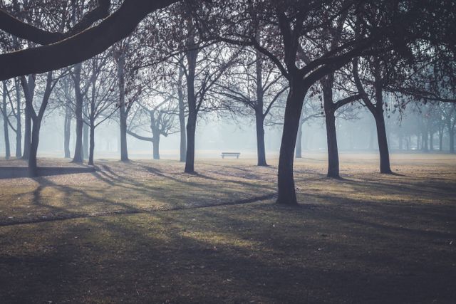 Depicts tranquil scene with park bench surrounded by trees in morning haze. Useful for concepts of solitude, reflection, and nature's tranquility. Ideal for advertisements promoting relaxation, meditation, or outdoor activities, as well as backgrounds for websites or posters related to nature.