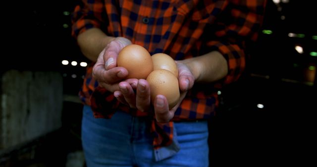 Close-up of Farmer Holding Fresh Brown Eggs - Download Free Stock Images Pikwizard.com