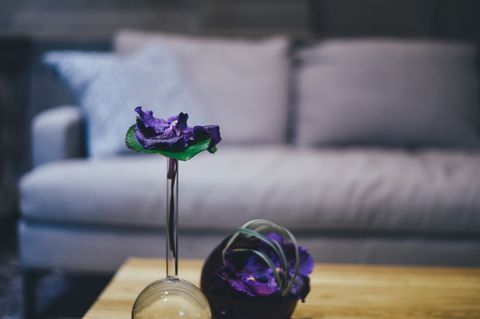 Purple Flower Vase on Wooden Coffee Table in Cozy Living Room