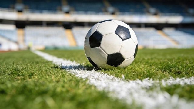 Soccer ball resting on painted sideline at sunlit stadium pitch close-up sports detail