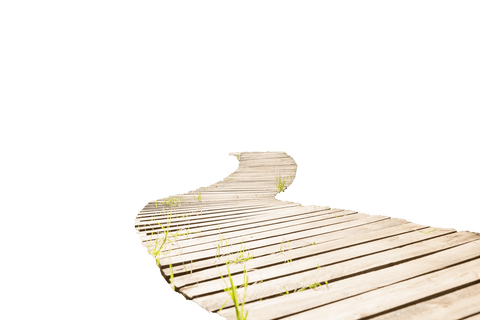 transparent wooden pathway illustration on clear background - Download Free Stock Videos Pikwizard.com