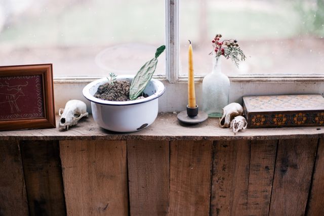 Rustic wooden windowsill adorned with eclectic items including a potted plant, a burning candle, dried flowers in a vintage bottle, and small decorative skulls. Perfect for use in lifestyle blogs, interior design websites, and promotional materials for home decor products.