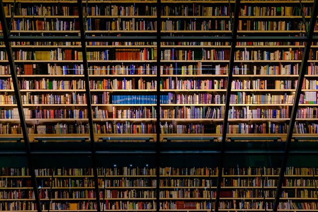 This photo shows a large bookshelf filled with a diverse collection of books in a library. It can be used for educational purposes, promoting reading, enhancing library promotions, and illustrating concepts of knowledge and education.