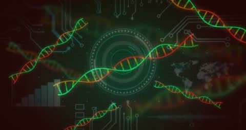 Futuristic DNA Helices Floating in Digital Interface