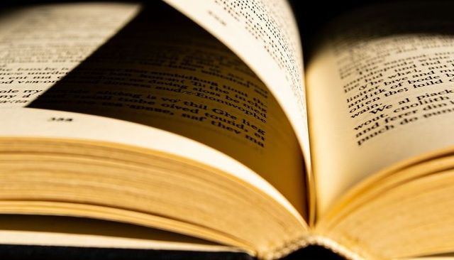 Resting open paperback book with fanned pages and warm typographic shadow closeup