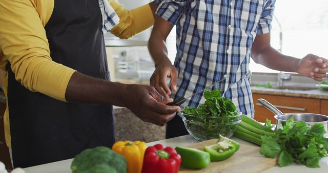 African American Senior Father and Adult Sons Cooking Dinner Together in Kitchen - Download Free Stock Images Pikwizard.com