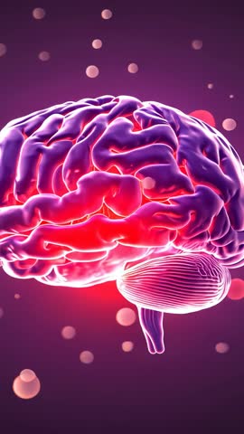 Neon 3D Brain Rotating Vertical Video for Futuristic Tech, AI and Neuroscience Visuals