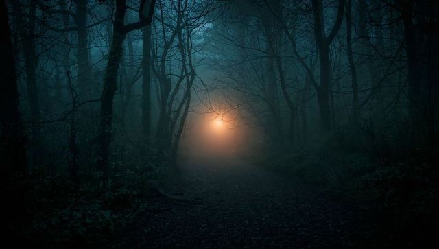 Glowing Light Orb in Foggy Mystical Forest
