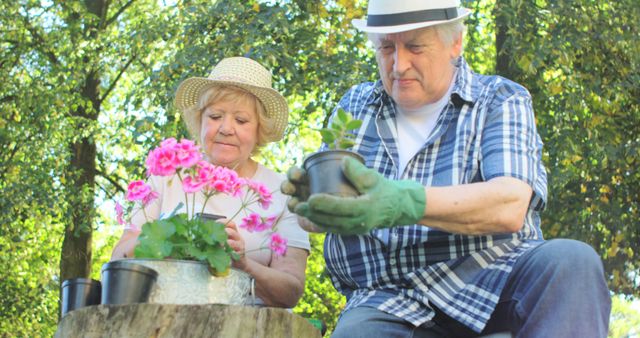 Senior Couple Enjoying Outdoor Gardening Together - Download Free Stock Images Pikwizard.com