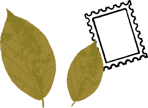 elegant botanical leaves with stamp frame on transparent background - Download Free Stock Videos Pikwizard.com