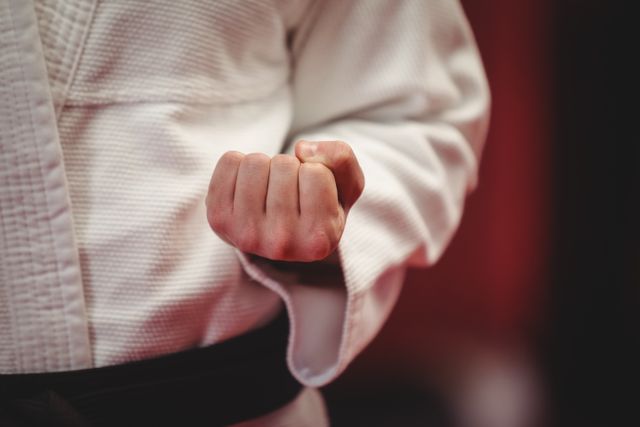 Mid section of karate player in black belt