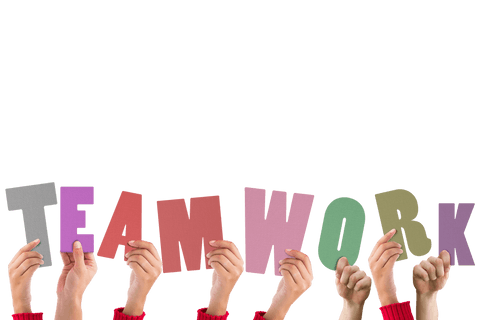 Hands Holding TEAMWORK Letters on Transparent Background - Download Free Stock Videos Pikwizard.com