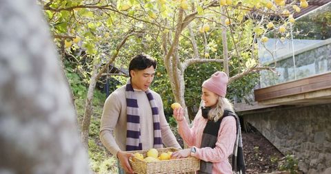 Couple harvesting lemons in sunlit backyard orchard with wicker basket