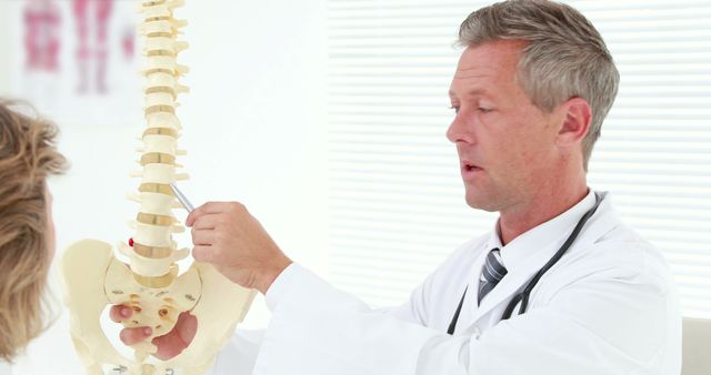 Doctor Explaining Anatomy With Spine Model In Medical Office - Download Free Stock Images Pikwizard.com