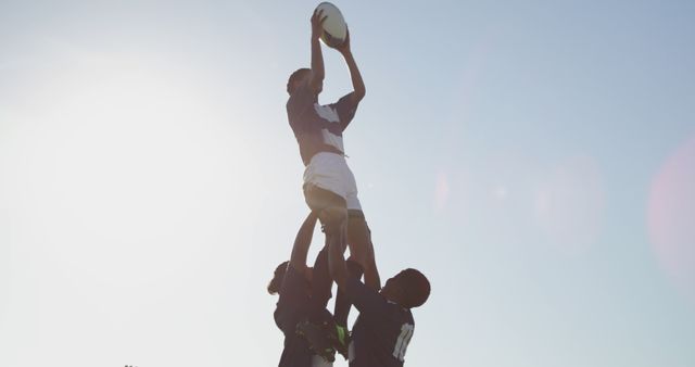 Rugby players competing for ball in line-out - Download Free Stock Images Pikwizard.com