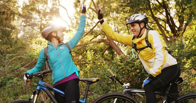 Cyclists High-Fiving in Forest During Sunrise - Download Free Stock Images Pikwizard.com