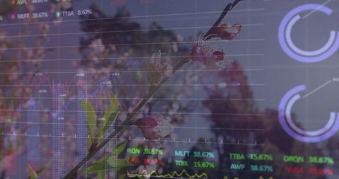 Innovative blend of spring blooms and financial data visualization