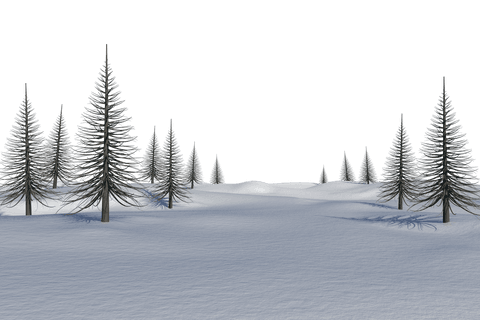 transparent snowy landscape with bare tall trees - Download Free Stock Videos Pikwizard.com