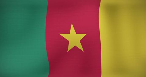 Cameroon National Flag Waving in the Wind - Download Free Stock Images Pikwizard.com