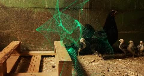 Futuristic Digital Mesh with Chickens in Farm Coop Setting