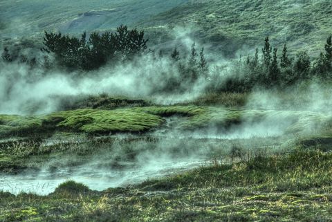 Misty Thermal Springs Amidst Lush Greenery