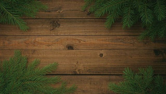 Rustic wooden surface with evergreen branches for festive decor