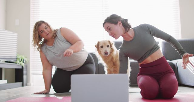 Two Women Exercising at Home with Dog Watching - Download Free Stock Images Pikwizard.com