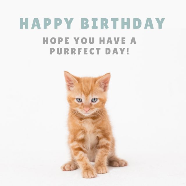 Birthday Card with Adorable Orange Kitten for Pet Lovers - Download Free Stock Templates Pikwizard.com