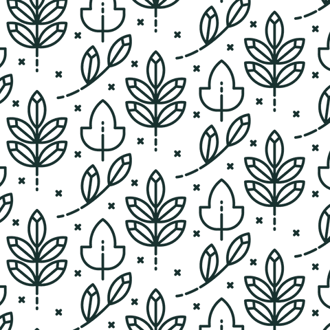 seamless black leaf pattern on transparent background - Download Free Stock Videos Pikwizard.com