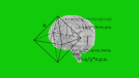 Brain Diagram with Mathematical Formulas on Green Background