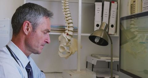 Doctor Using Computer in Clinic with Spine Model in Background - Download Free Stock Images Pikwizard.com