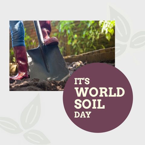 World Soil Day Celebrated with Gardening and Eco-Friendly Practices