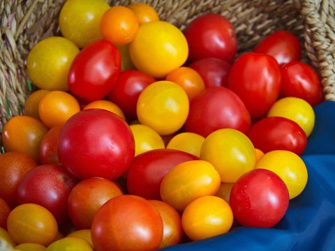 Colorful Cherry Tomatoes in Woven Basket on Blue Cloth