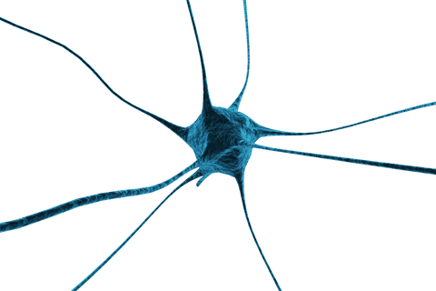 transparent blue network concept illustrating nervous system - Download Free Stock Videos Pikwizard.com
