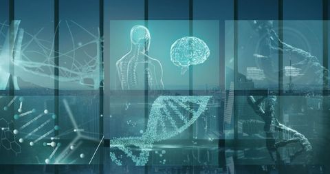 Futuristic Medical Data Processing with DNA and Brain Visuals