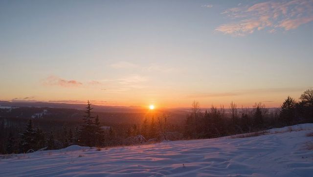 Winter Sunset Casting Warm Light Over Snow-Covered Hillside and Pine Forest