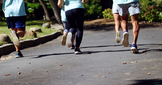 Joggers Exercising in Park on Sunny Day - Download Free Stock Images Pikwizard.com