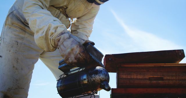 Beekeeper Using Smoker Tool in Apiary - Download Free Stock Images Pikwizard.com