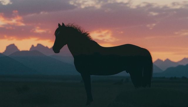 Silhouette of Horse Against Majestic Mountain Sunset