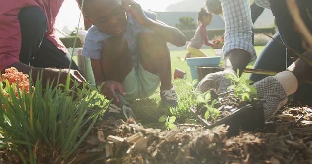 Family Gardening Together in Sunlit Yard - Download Free Stock Images Pikwizard.com