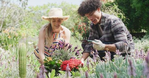 Happy Multiracial Couple Gardening Together on Sunny Day - Download Free Stock Images Pikwizard.com