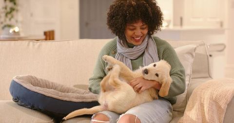 Smiling african american woman cradling golden retriever puppy on cozy living room sofa