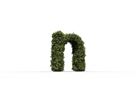 transparent greenery letter n illustration on clear background - Download Free Stock Videos Pikwizard.com