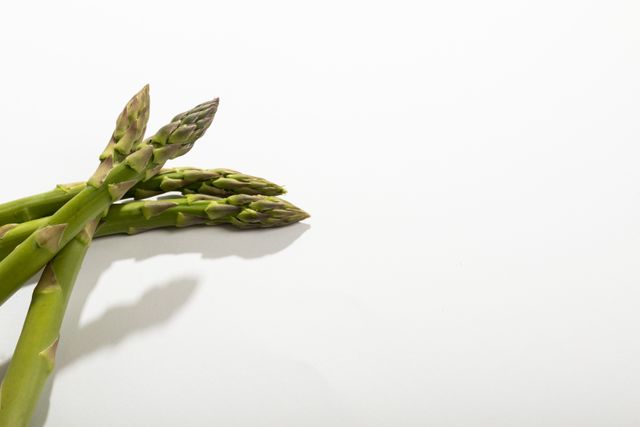 Close-up of asparagus on white background, copy space. unaltered, food, healthy eating, studio shot and organic.